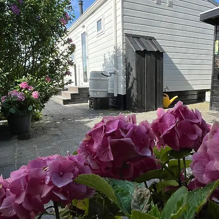 Eldorado Aan Zee בקתה *