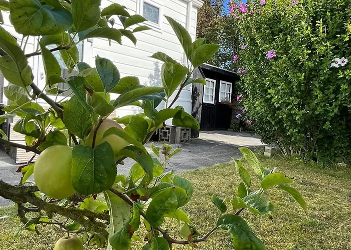 Eldorado Aan Zee בקתה